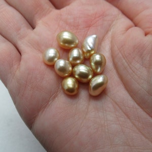 South Sea Golden Keshi Pearls 7mm-8mm Natural Color Pearl High Quality Organic Shape Golden Genuine Pearl undrilled - 1 Piece