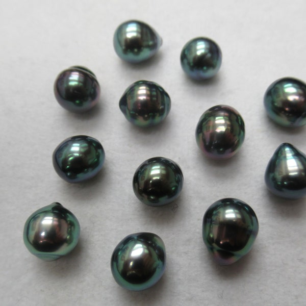 South Sea Tahitian Circle' Pearl Intense Natural Peacock Colors 8mm-15mm High Quality Exotic Tahitian Genuine Pearl - 1 Piece