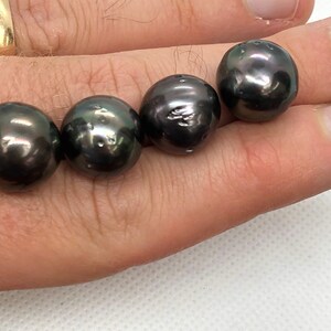 South Sea Tahitian 14-15mm round semi-circle pearls dark and peacock color good luster pearl bead