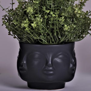 May include: A dark gray ceramic planter with three faces, filled with green leafy plants. The planter has a unique design, adding a touch of artistry to any space. The plant's leaves are a vibrant green, contrasting with the dark gray of the planter.