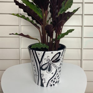 May include: A black and white hand-painted ceramic planter with a dragonfly design. The planter is filled with a dark green plant with large, dark green leaves.
