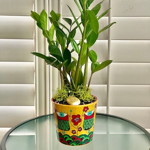 Peut inclure: Un plant de ZZ vert dans un pot en céramique jaune avec un motif coloré d'yeux stylisés, de fleurs et de motifs géométriques.