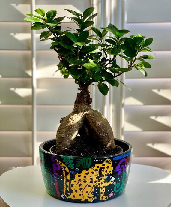Vaso bonsai. Bonsai dipinto pentola. Vaso di fiori. Bosque mágico -   Italia