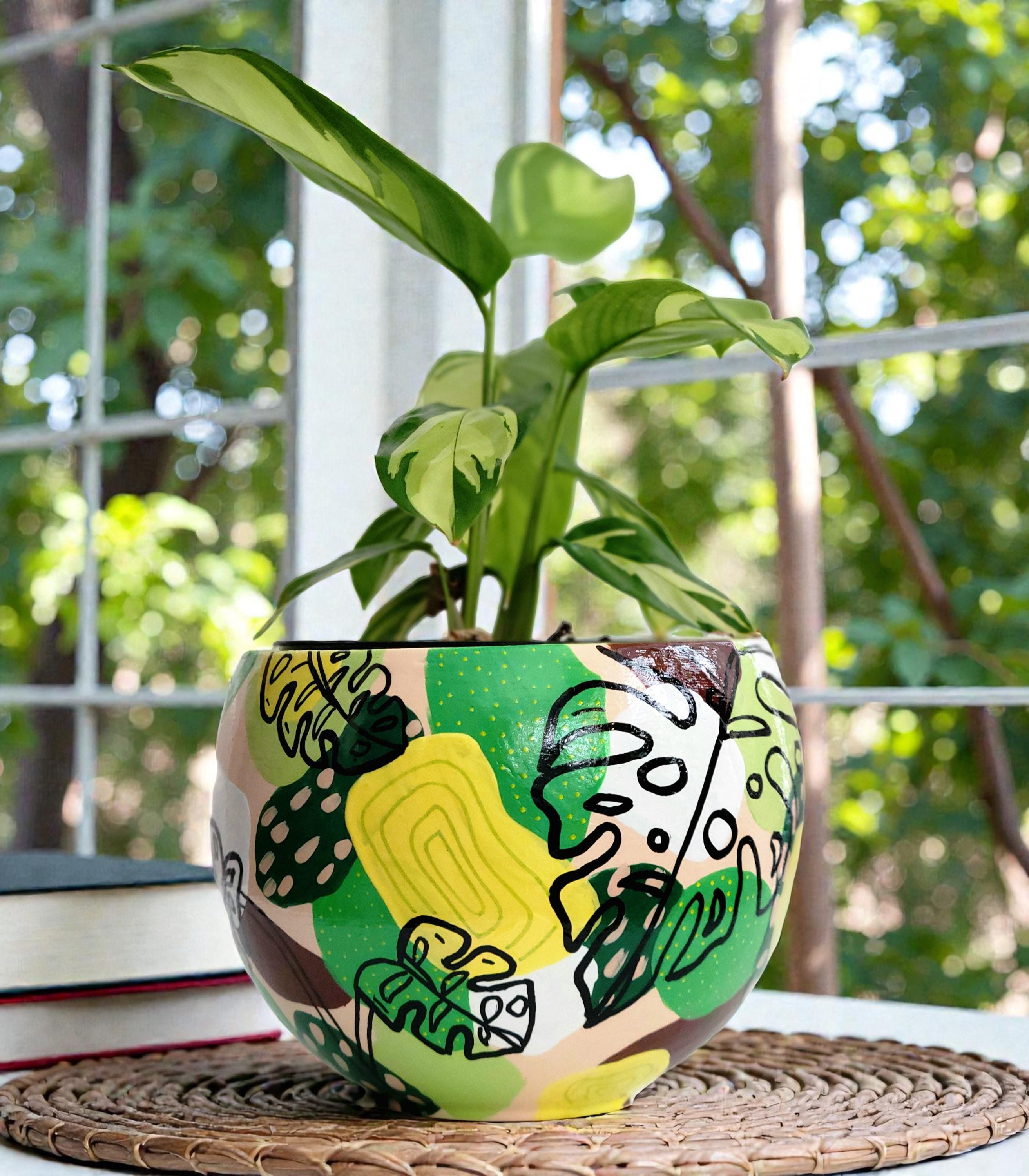monstera monkey leaf ranken Monstera adansonii main image 1