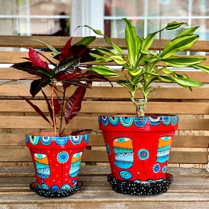 May include: Two potted plants with hand-painted red and blue ceramic pots. The pots feature a whimsical design with colourful birds and dots. The plants are on a wooden surface.