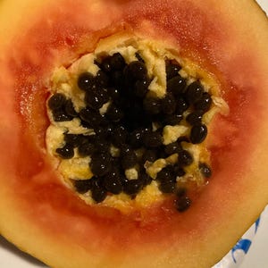 Papaya Seeds