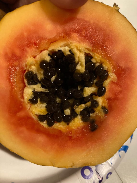 Papaya Seeds