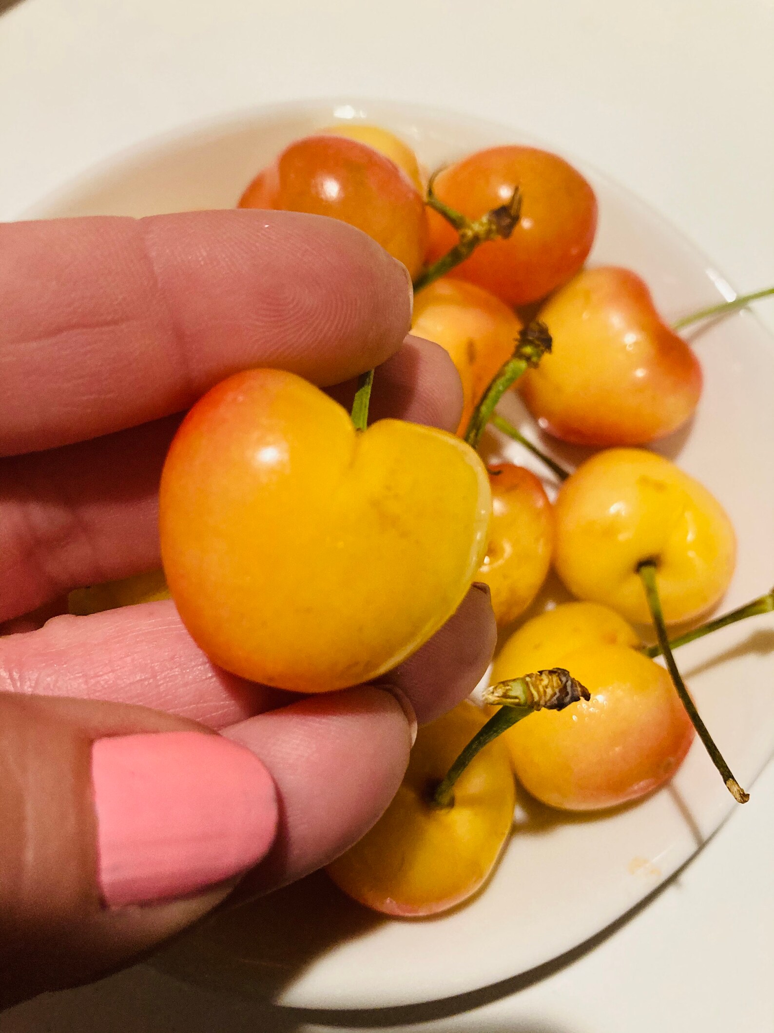 Cherry Seed Swallowed 51 - hbxrr1t