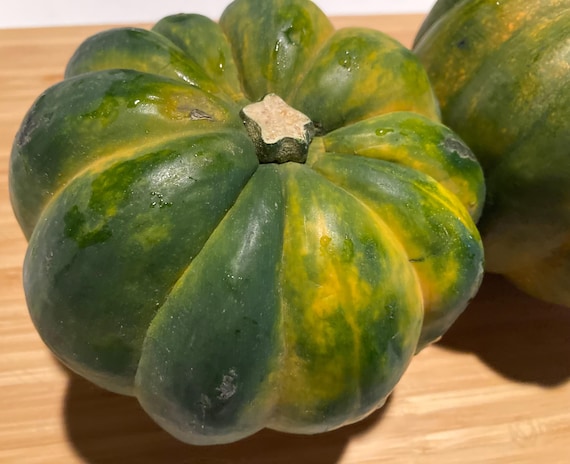Acorn Squash Seeds