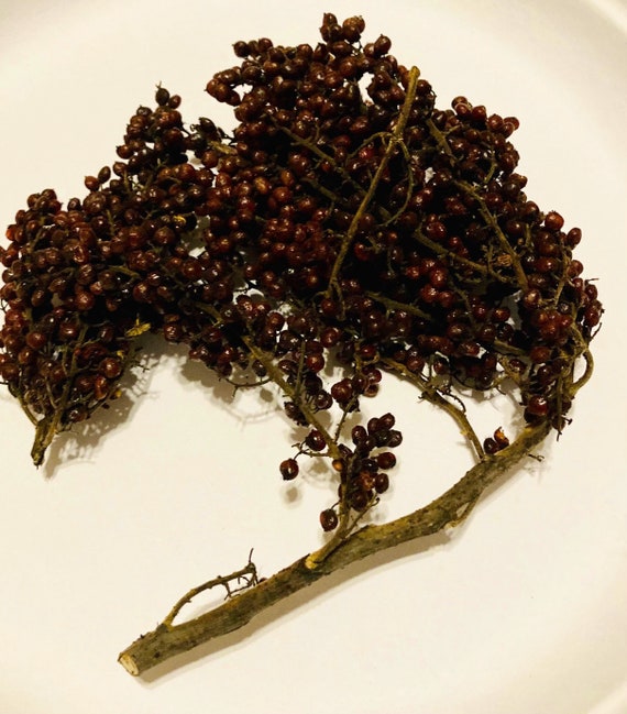 Smooth Sumac Seeds