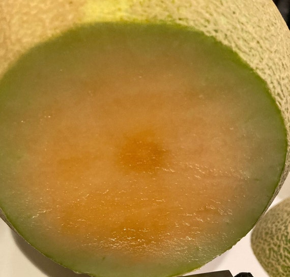 Sugar Melon Seeds