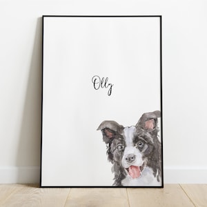 Personalised Border Collie Dog Picture, Border Collie Print, Pet Portrait, Dog Lover Gift, Peekaboo Pets, Border Collie Gift Ideas