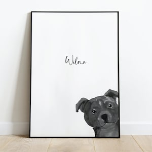 Personalised Staffordshire Bull Terrier Picture, Staffy Gift, Staffy Print, Pet Portrait, Dog Lover Gift, Peekaboo Pets, Christmas Gift