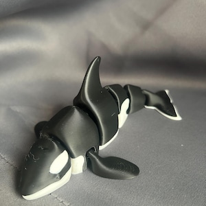 Orca