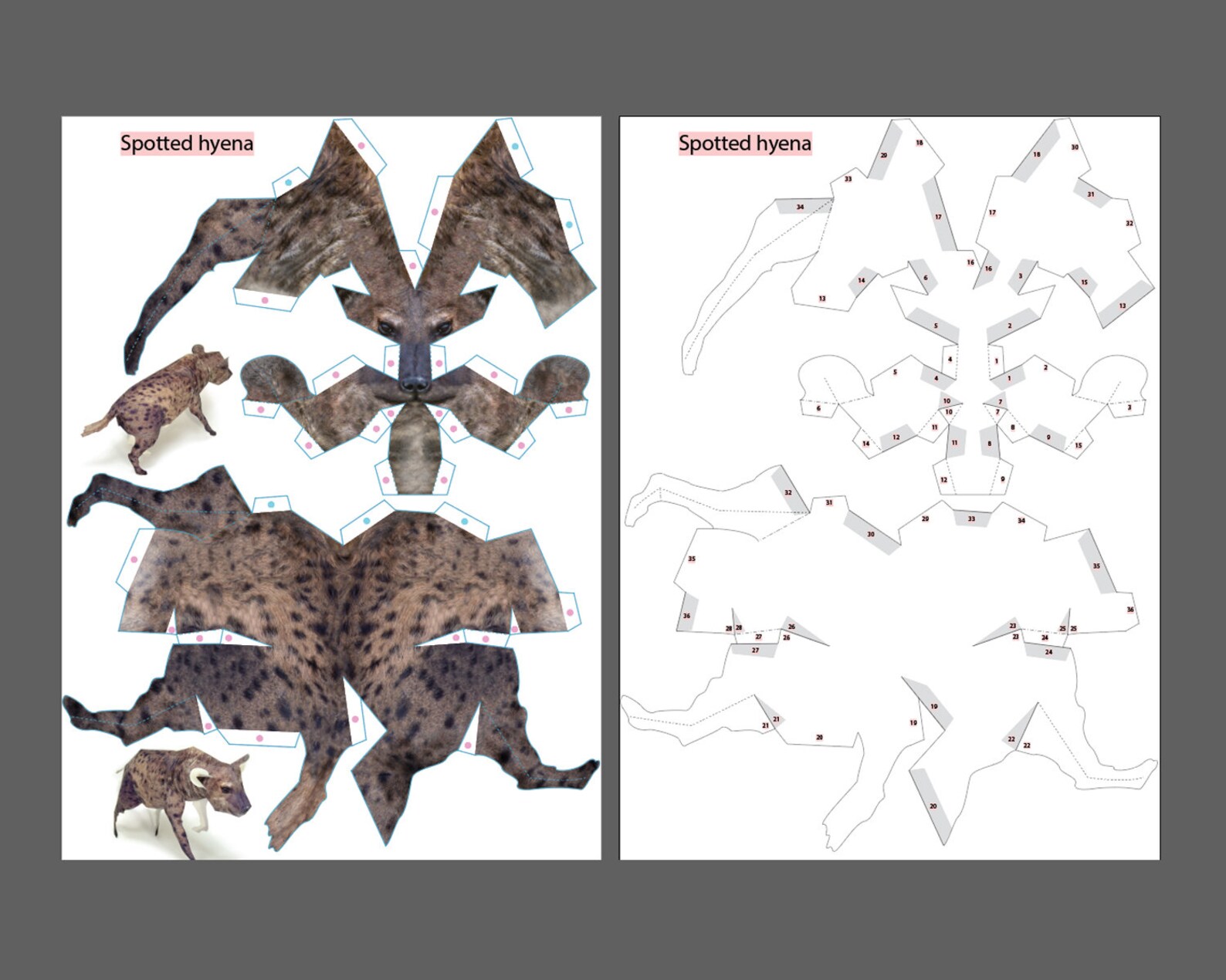 Hyena 3D Papercraft PDF Template Hyena DIY Origami Simple | Etsy