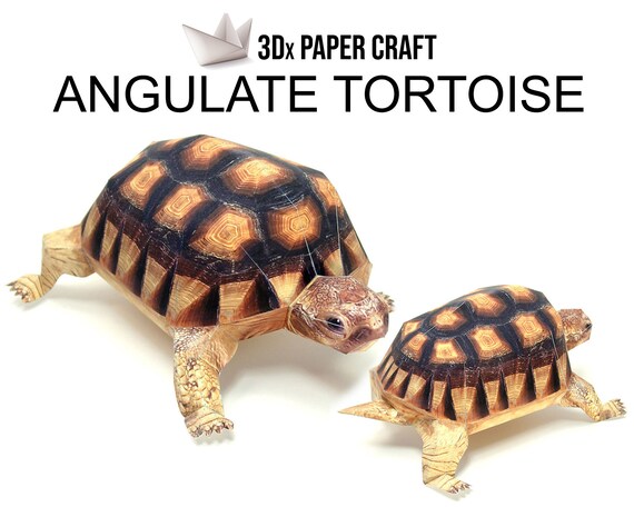 pix Turtle Paper Craft Template etsy