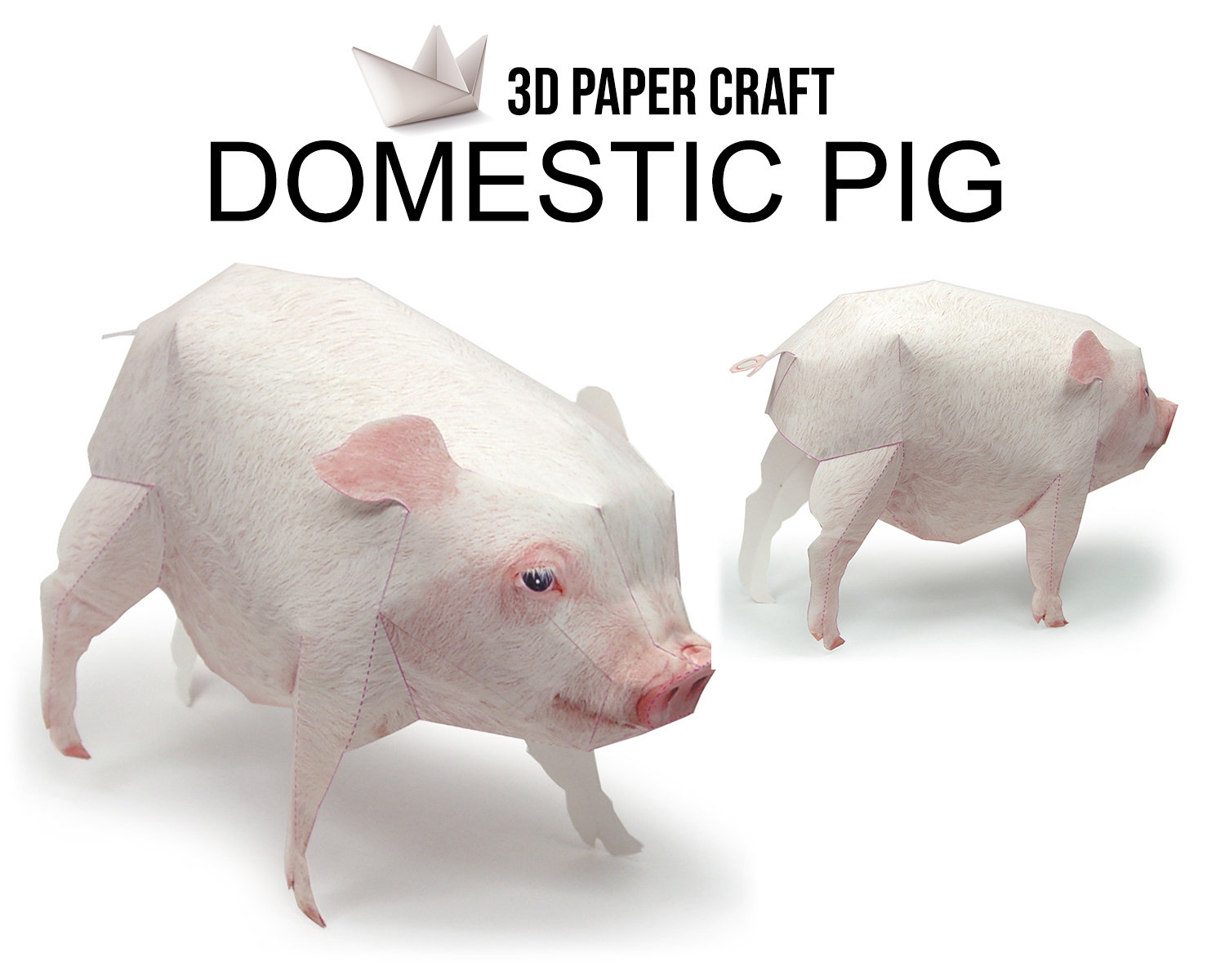 Printable Papercraft 3d Pig Template Pic Scalawag