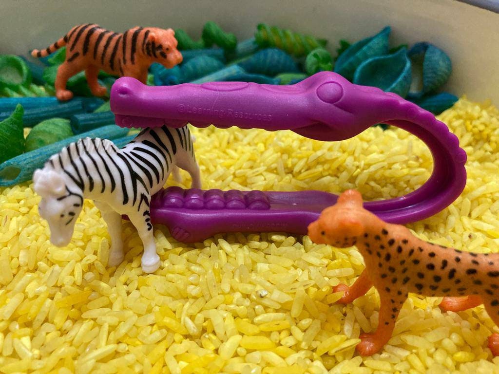 Wild Animals Sensory play messy play kit Etsy