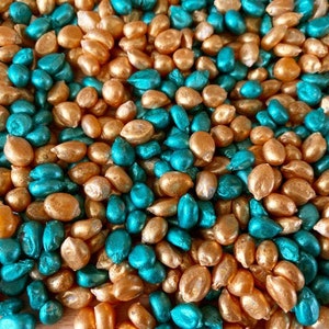 May include: A close-up of a pile of teal and gold corn kernels. The kernels are shiny and smooth, and they are arranged in a random pattern.
