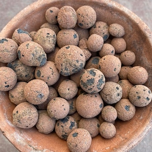 Puede incluir: Una maceta de terracota llena de guijarros de arcilla marrones y negros. Los guijarros son redondos y tienen una textura rugosa.