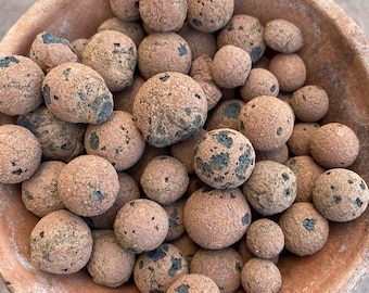 LECA  Expanded Clay Pebbles / Hydroponic Substrate / Lightweight Soil Additive for Drainage and Structure / Cannabis, Bonsai, Succulents