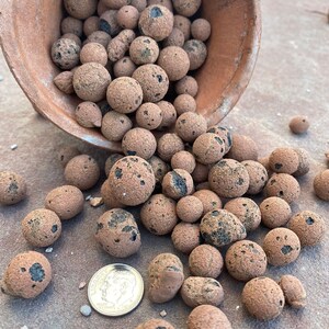 May include: A terracotta pot filled with brown and black clay pebbles, spilling out onto a gray surface. A US dime coin is placed on the surface for scale.