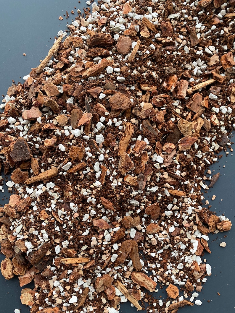 Deluxe Gritty Mix Succulent Bonsai Cactus Soil / Ultra Fast Etsy UK