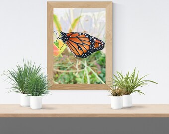 Butterfly | Digital Download | Printable | Wall Art |