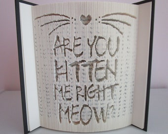 Are You Kitten Me Right Meow Folded Book Art