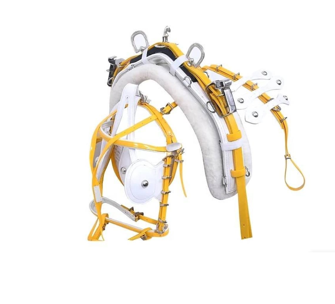 Driving Harness Etsy