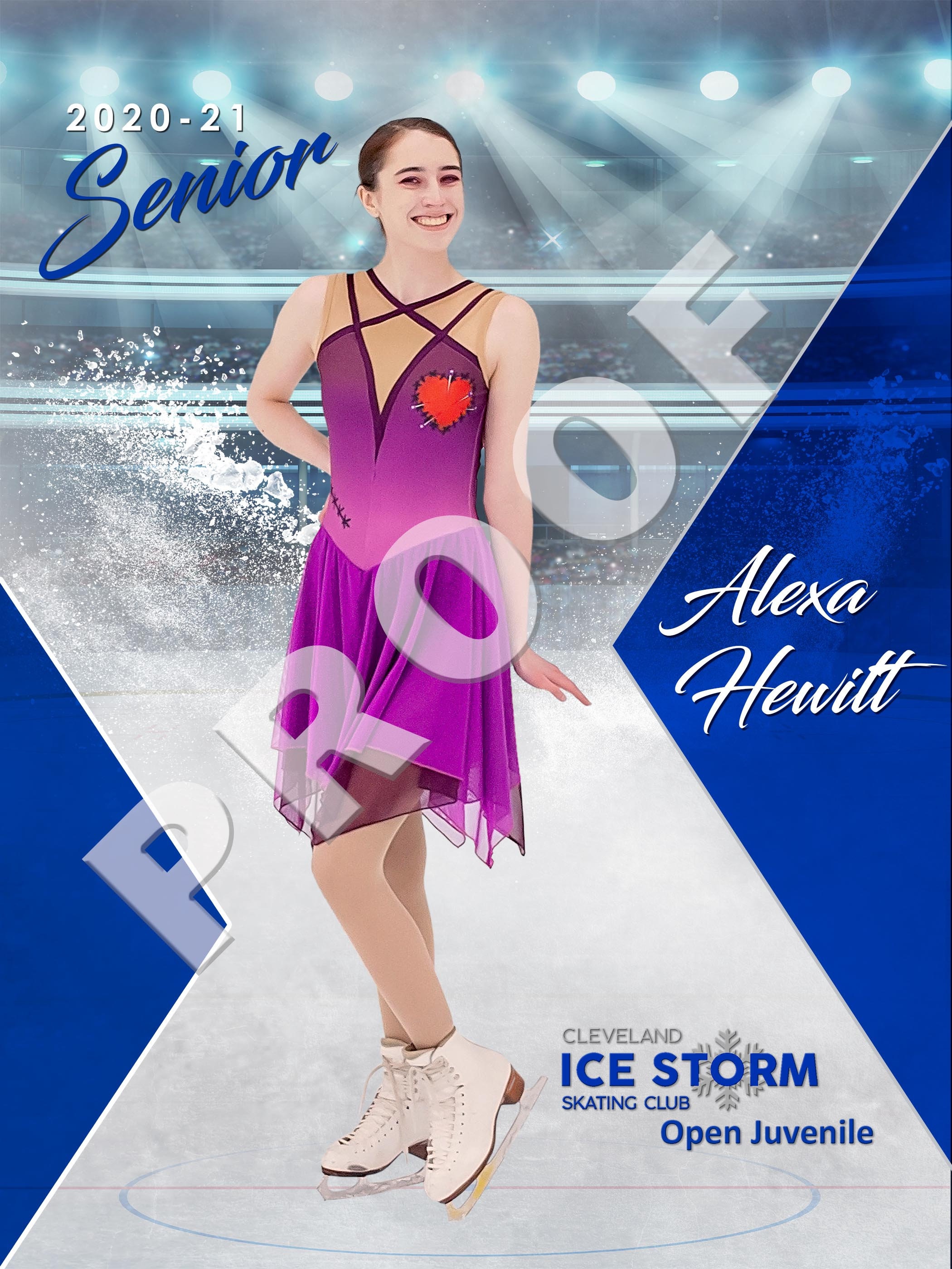 Custom Designed & Printed Vinyl Sports Banner hockeyfield Etsy