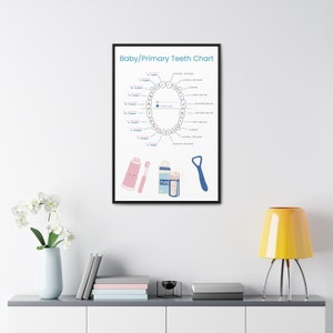 Teeth Chart for Pediatric Dental Office