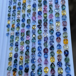 Könnte beinhalten: Eine Sammlung loser Saphire in verschiedenen Formen, Größen und Farben, darunter Blau, Grün, Gelb und Rosa. Die Saphire sind in Reihen auf einer weißen Oberfläche angeordnet.