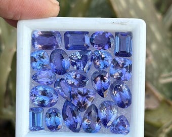 Tanzanite Gemstone Lot – Handmade Mixed Shape, 23 Pcs