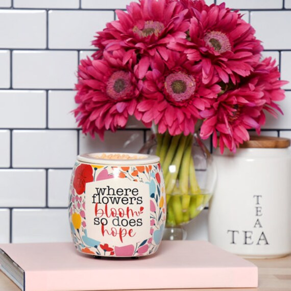 Pink Zebra PRESENT Simmer Pot & Sprinkles nellspa.ro