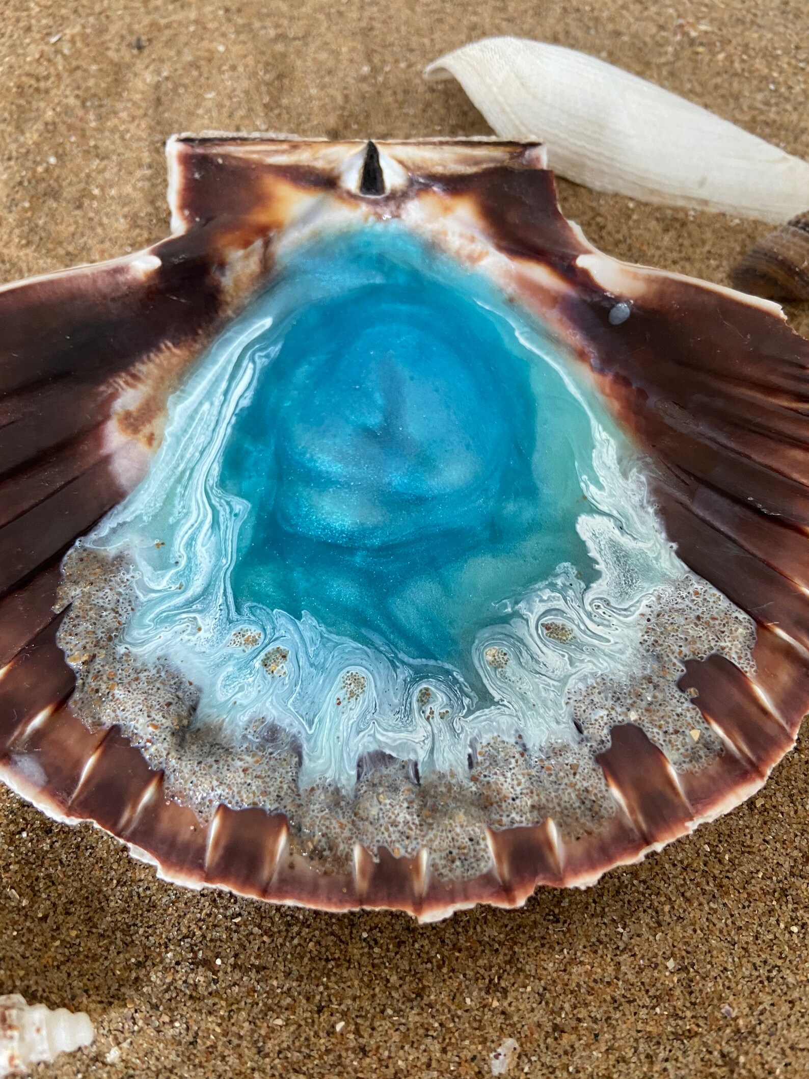 Coquille SaintJacques coquille SaintJacques plat en anneau Etsy