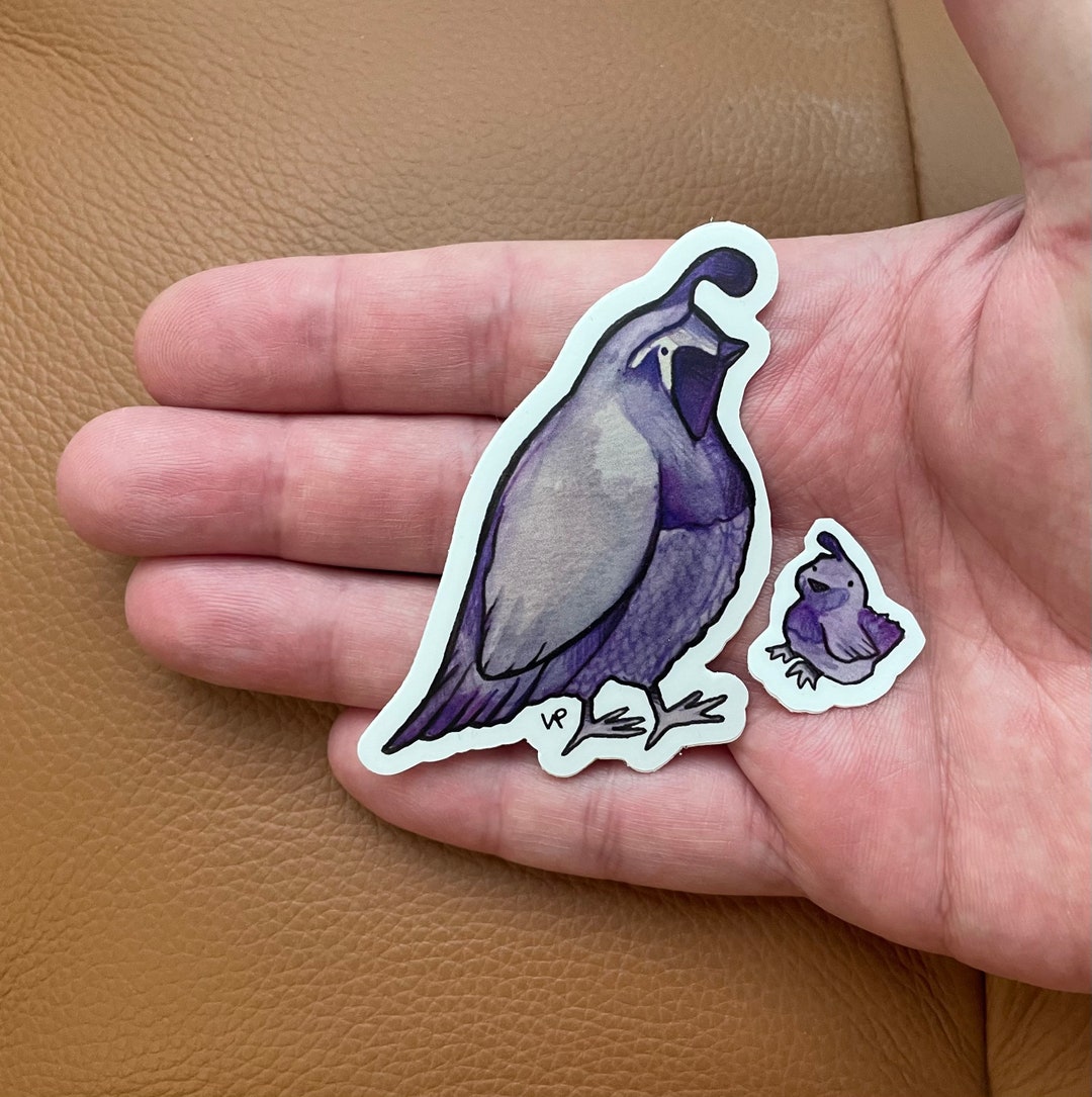 Quail Bird Vinyl Sticker - 3 Inch Waterproof Decal For Cars, Laptops & More