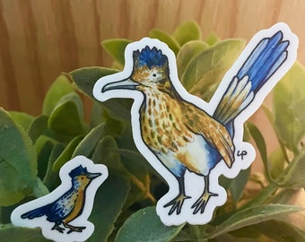 Road runner + baby vinyl stickers | gifts for Sonoran Desert lovers | decals of roadrunners
