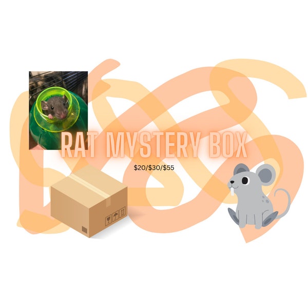 Rat Mystery Boxes/Rat Enrichment Boxes