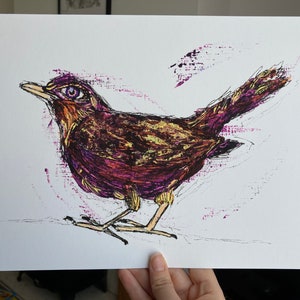 Pássaro de edição limitada, natureza, melro com olho humano Impressão de uma obra de arte original de Meg Thorpe