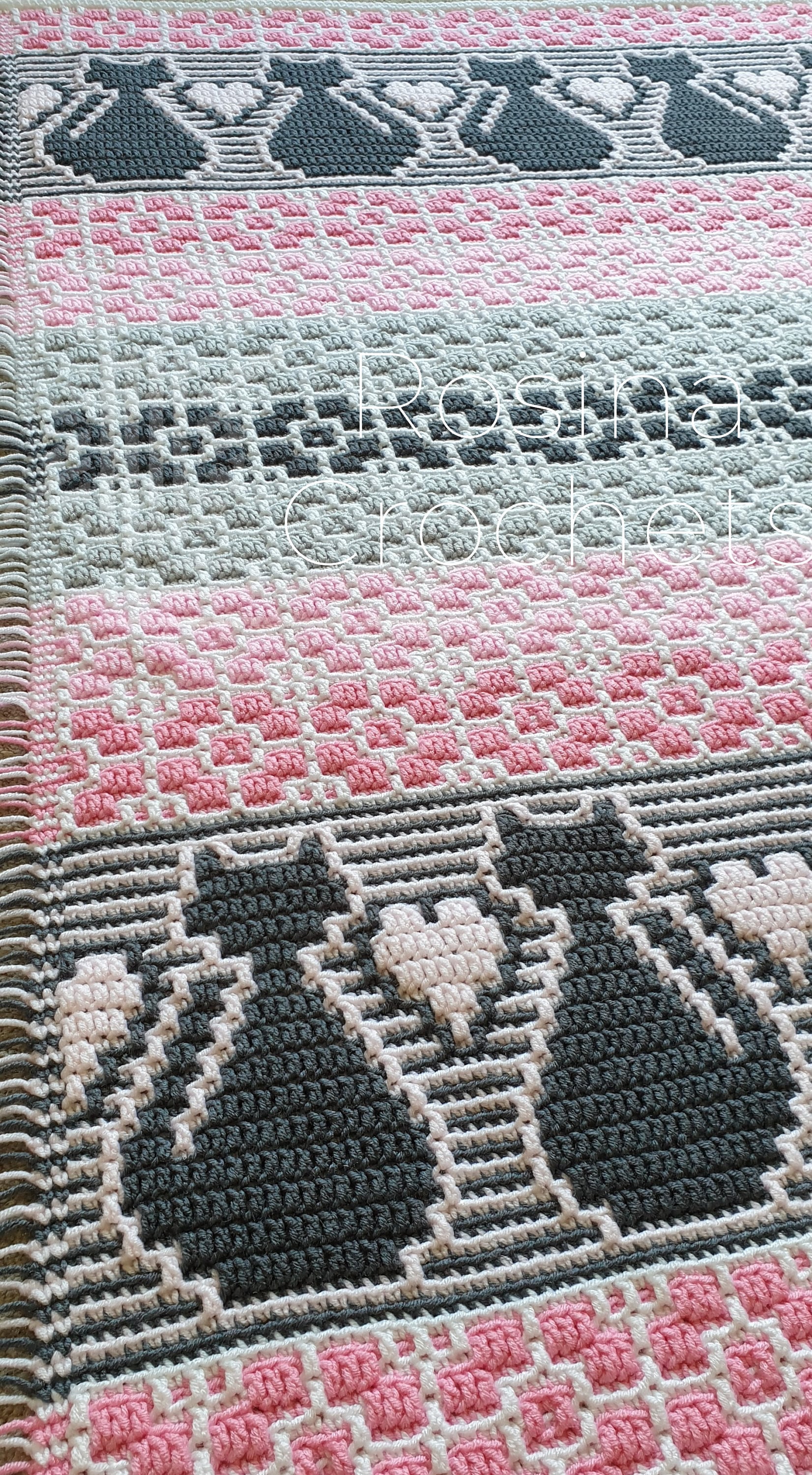 Meow Overlay Mosaic Crochet Pattern Only Etsy UK