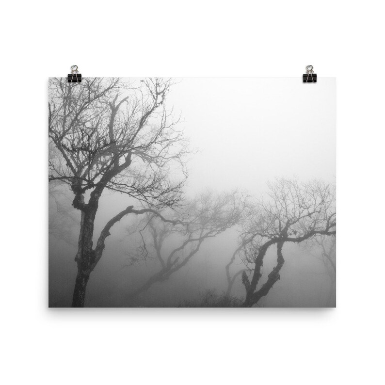 K&ouml;nnte beinhalten: Schwarz-Wei&szlig;-Druck von kahlen B&auml;umen in einer nebligen Landschaft. Die B&auml;ume haben verdrehte &Auml;ste und sind teilweise vom Nebel verdeckt, was eine stimmungsvolle Szene erzeugt. Der Druck wird mit einer B&uuml;roklammer gehalten.