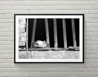 Catnap | Eine Katze, die ein Nickerchen am Fensterrand eines alten Dorfhauses nimmt | Fotografie Druck | Physischer Druck | B&W