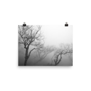 K&ouml;nnte beinhalten: Schwarz-Wei&szlig;-Druck von kahlen B&auml;umen im Nebel. Die &Auml;ste heben sich vom nebligen Hintergrund ab. Der Druck wird von zwei schwarzen B&uuml;roklammern gehalten.