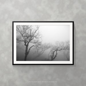 Branches In The Mist I | Tree branches captured in foggy weather | Photography Print | Physical Print | B&W