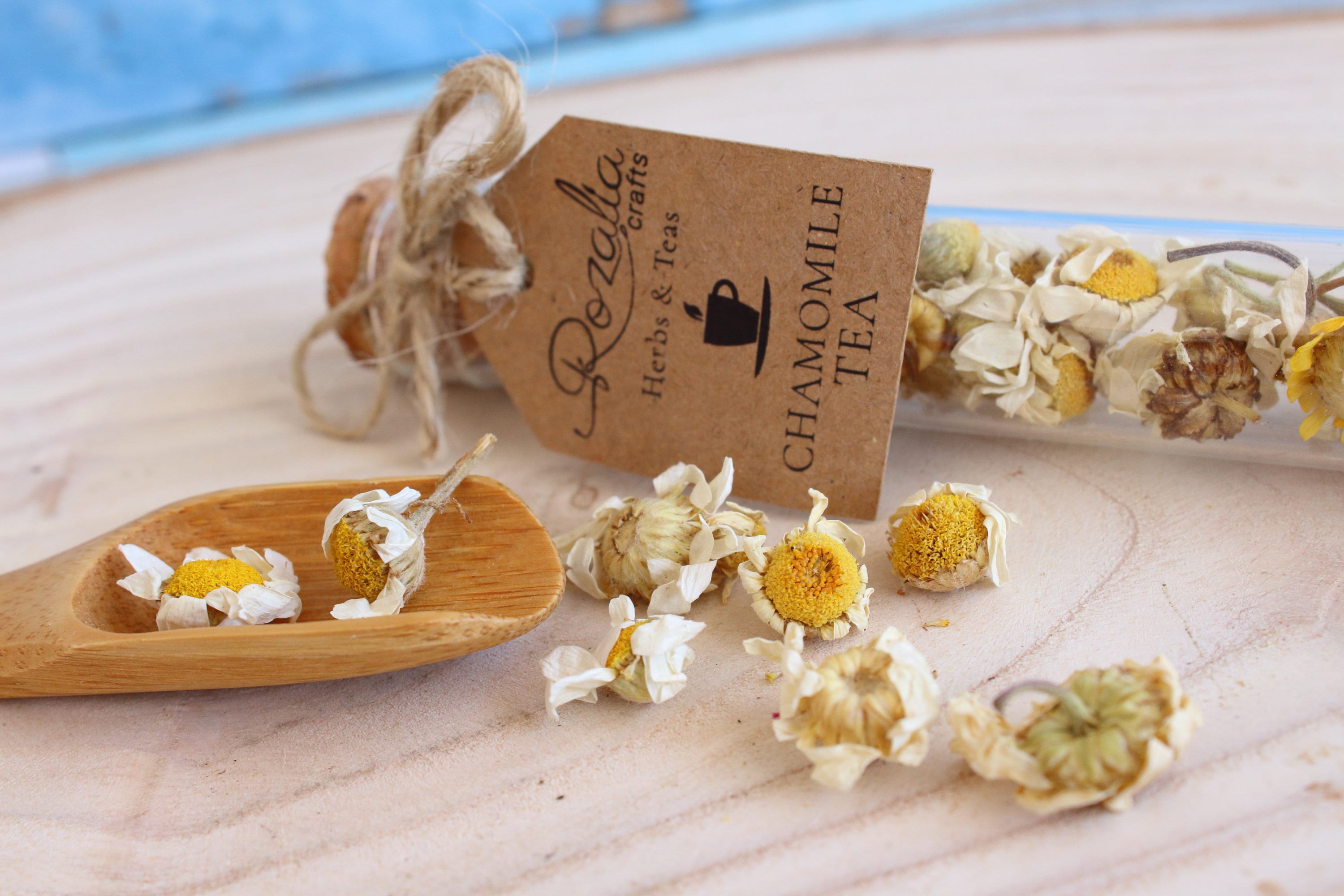 Organic Tea Sampler Set Mothers Day Gift Box Herbal Tea Gift Etsy Canada