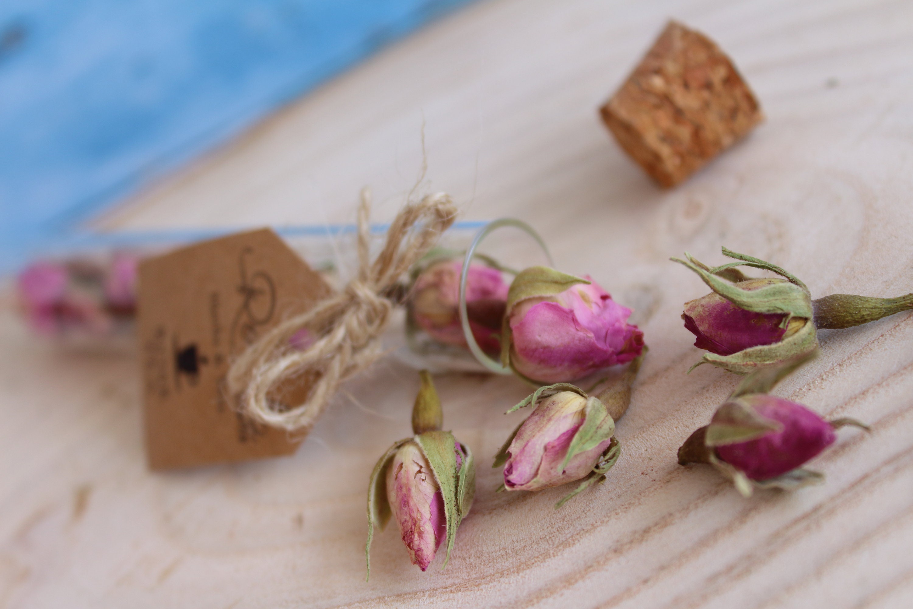 Organic Tea Sampler Set Mothers Day Gift Box Herbal Tea Gift Etsy Canada