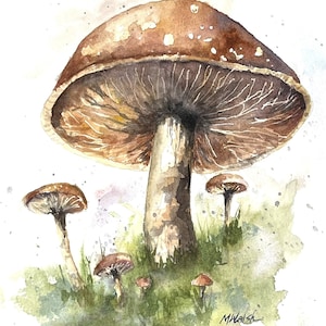 Mushrooms Popping