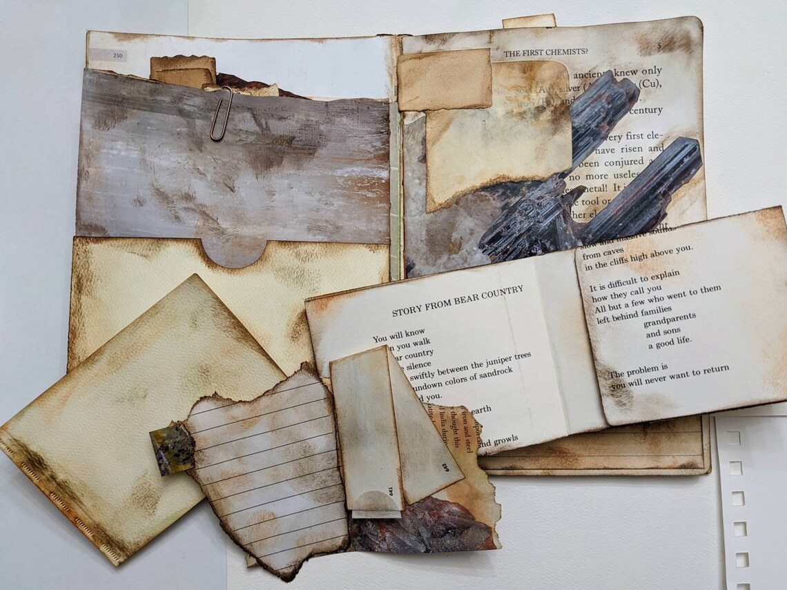 Google scholar picture