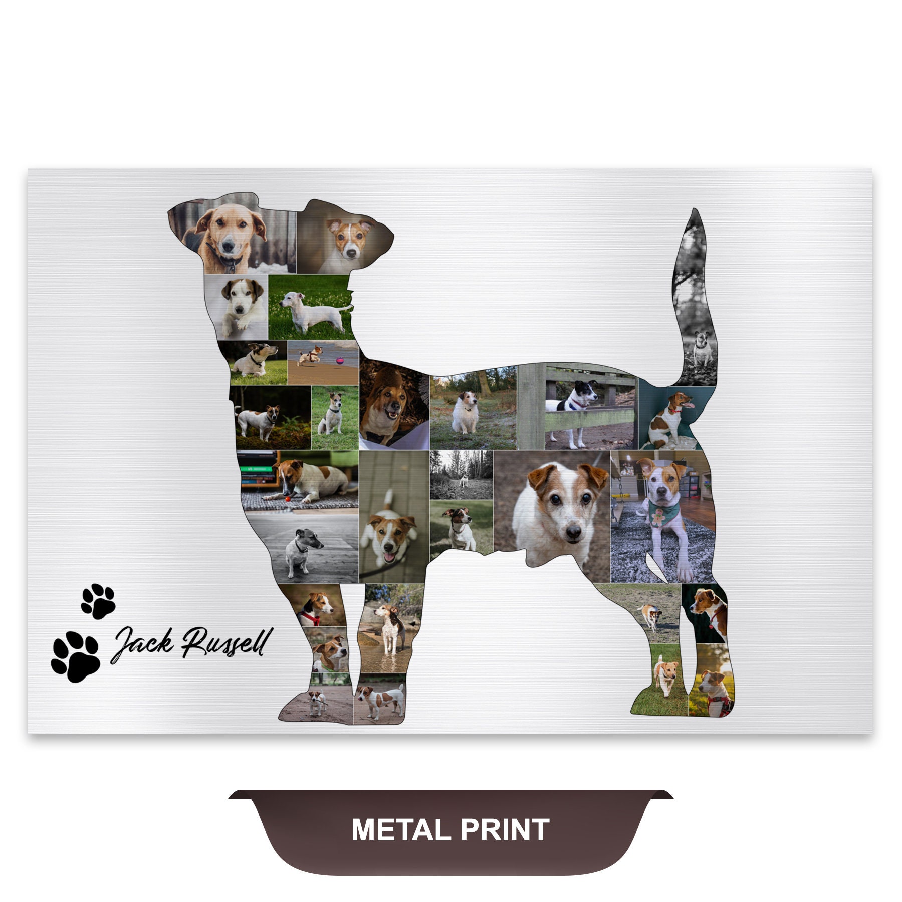 Jack Russell Terrier Memorial Jack Russell Lover Framed Jack Etsy UK
